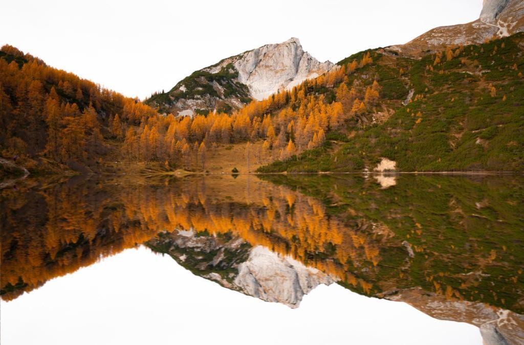 Haus Bergzauber Apartment Ramsau am Dachstein Bilik gambar
