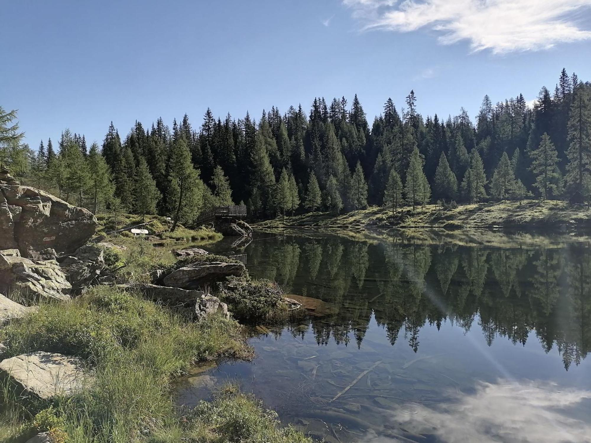 Haus Bergzauber Apartment Ramsau am Dachstein Bilik gambar